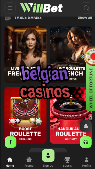 Belgian Casinos - Belgium's Gaming Venues-casinoorder.vip