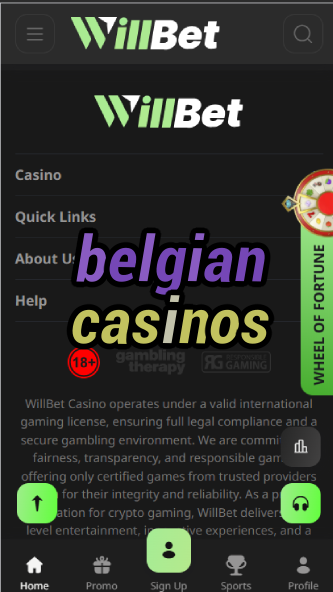 Belgian Casinos - Belgium's Gaming Venues-casinoorder.vip