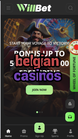 Belgian Casinos - Belgium's Gaming Venues-casinoorder.vip